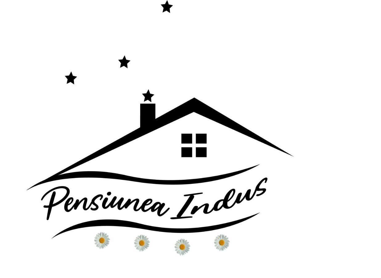 Pensiune Restaurant Indus Ocna Sibiului Exterior foto